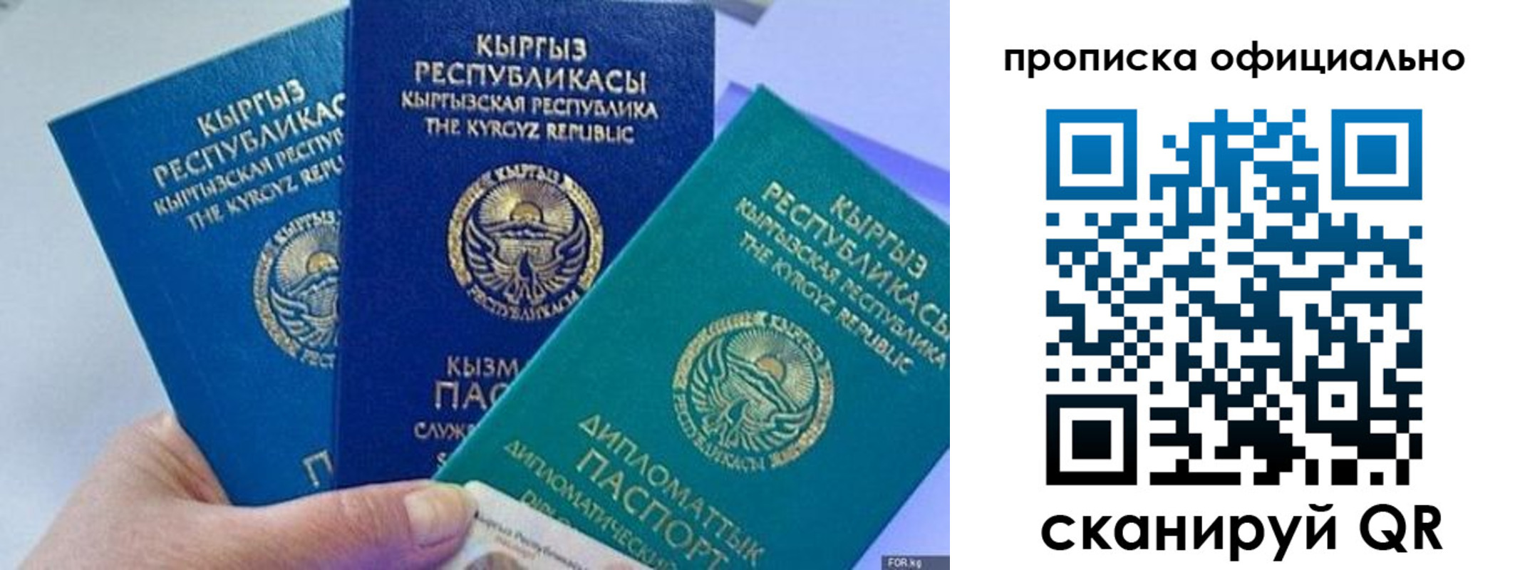 миграционный учет в Ельне